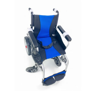 Fauteuil Électrique